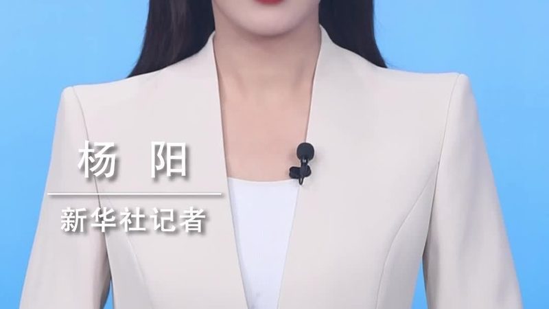 金融数据治理：揭秘高效案例背后的关键要素